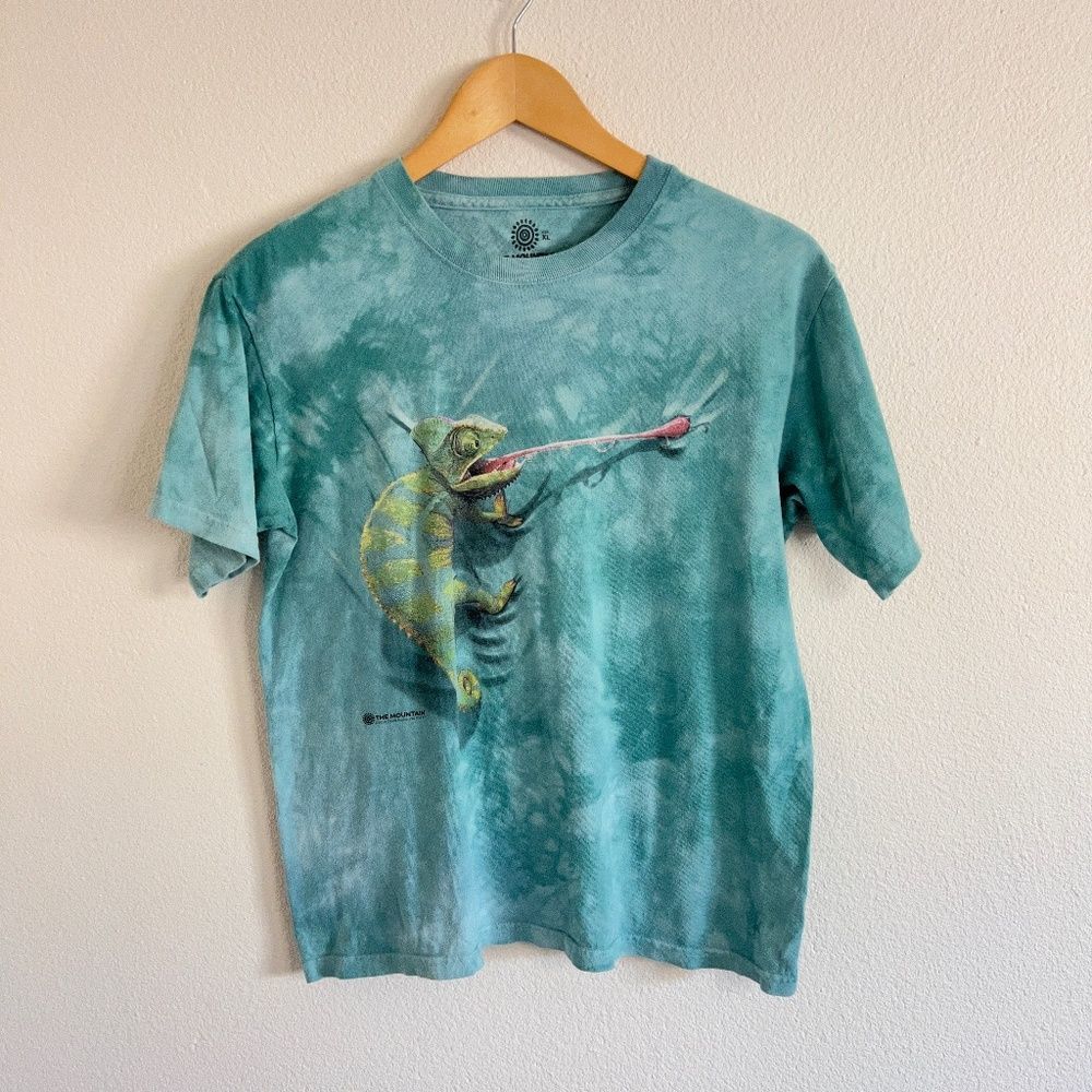 🍁3 for $15 🍁 Climbing Chameleon Kids' T-Shirt